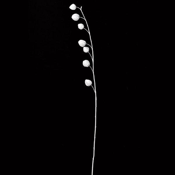 NX}X  Ƃ悹i Ob^[zIYL  I[ig t[ NX}X NX}X[X CeA G ޗ AXJ ASCA AXJ