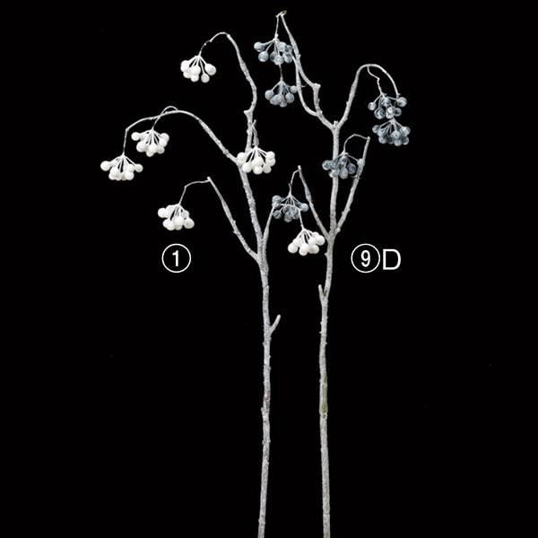 NX}X  O[ Ƃ悹i x[Xv[ [t z[[ t  I[ig G AXJ ASCA AXJ