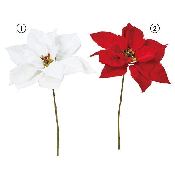 NX}X  Ƃ悹i xxbg|CZ`A |CZ`A  I[ig NX}X ԍ f AW CeA AXJ ASCA AXJ