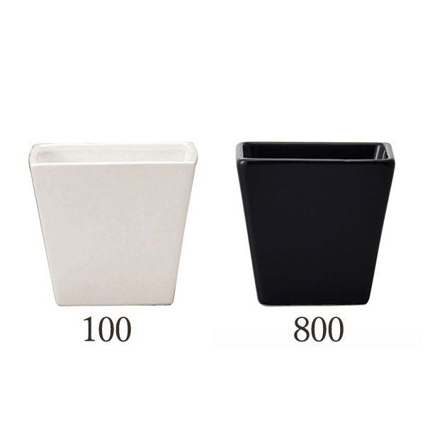  x[X Ƃ悹i Color vase(J[x[X)*1Zbg(6_) R|[g CeA Ԏ Ԋ x[X AW   t[AW