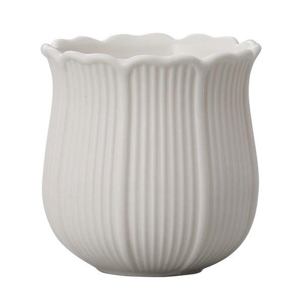  x[X Ƃ悹i colette(Rbg)1Zbg(4_) R|[g CeA Ԏ Ԋ x[X AW   t[AWg