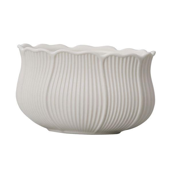  x[X Ƃ悹i colette(Rbg)1Zbg(2_) R|[g CeA Ԏ Ԋ x[X AW   t[AWg