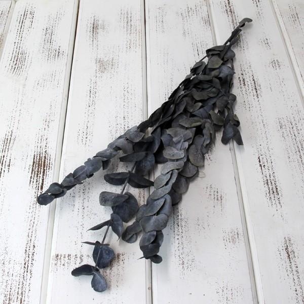 プリザーブドフラワー 即日出荷 Coretrading ユーカリ シネレア ショート ブルーグリーン Cor 造花ドライフラワー専門問屋花びし 通販 Yahoo ショッピング