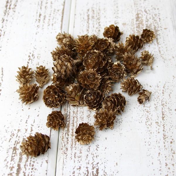 hCt[ ԍ o OC}c S[h ؂̎ t[c ʎ ibc hC Rf hCt[ CeA v  RAg[fBO