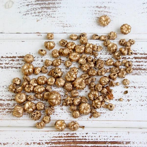 ドライフラワー 花材 即日出荷 プッカポッド ゴールド 実 木の実