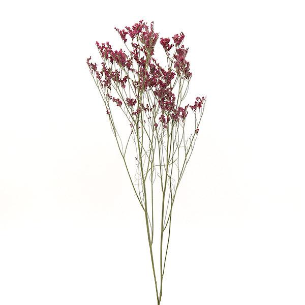 ドライフラワー 即日出荷 Coretrading ハイブリッドスターチス ナチュラルレッド系 花材 スワッグ 材料 パーツ ブーケ 花束 赤 Cor 造花ドライフラワー専門問屋花びし 通販 Yahoo ショッピング