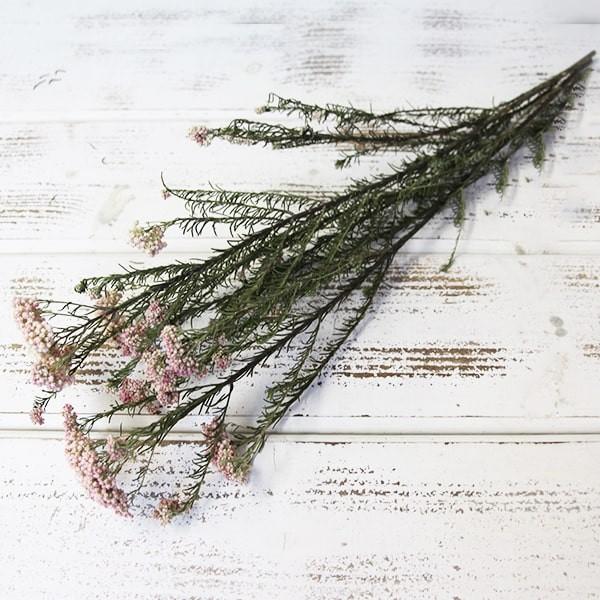 【商品サイズ】束/約30g全長:約50~60cm( allp5 )(10_dras)可憐なライスフラワーのドライフラワーです。ナチュラルカラーは薄ピンクで大変キュートです。( natrgr )( redpk )( rsn ) ドライフラワー...