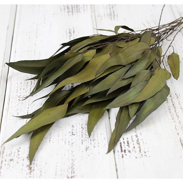 【商品サイズ】約40g南アフリカ産( allp5 )(10_dras)細長い葉が特徴のプリザーブドグリーンです。( grleaf )( dbridl ) 葉 リーフ プリザーブドフラワー スワッグ ブーケ ドライフラワー 花束 ドライフラワ...