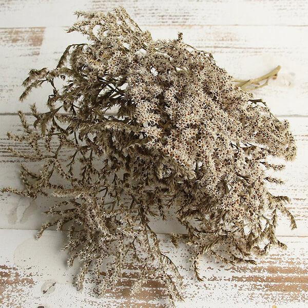 【商品サイズ】全長約30cm・束/約40gオランダ産( allp5 )(10_dras)星のような形の小花がたくさん付いた大人気花材です。カットしてハーバリウムやアロマワックスサシェにもおすすめです。花嫁さんの髪飾りのパーツとしても人気です...