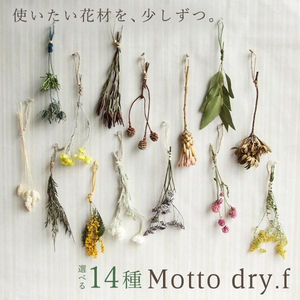 【商品仕様】パッケージ全長27cm花材全長ミモザアカシア:約14~17cmイモーテル:約21~24cmソリダゴ:約23~26cmエリンジューム:約21~24cmリモニユーム:約19~22cmセンニチコウ:約20~23cmシルバーデージー:約...