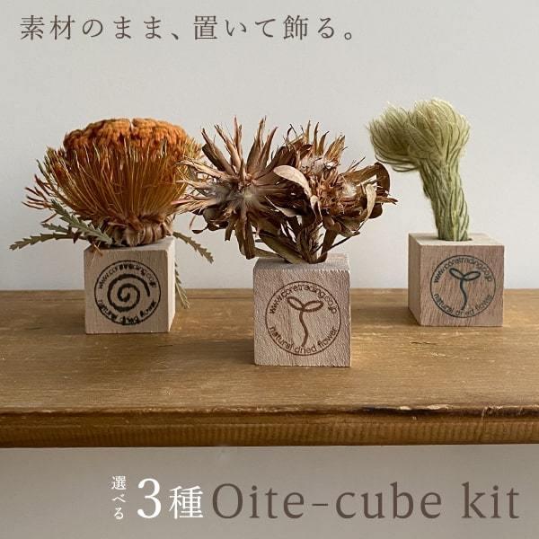 ドライフラワー 花材 即日出荷 Coretrading 置いてキューブシングル インテリア ドライフラワー インテリア インテリア雑貨 装飾 花 Cor Dcs 造花ドライフラワー専門問屋花びし 通販 Yahoo ショッピング