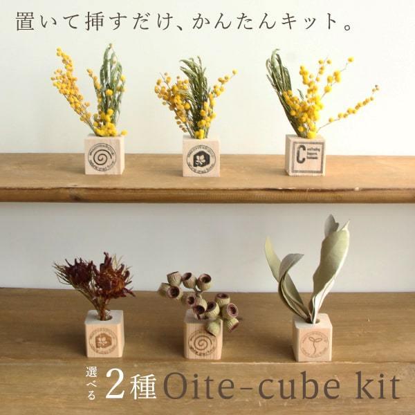 花材 ドライフラワー アレンジ 即日出荷 置いてキューブキット