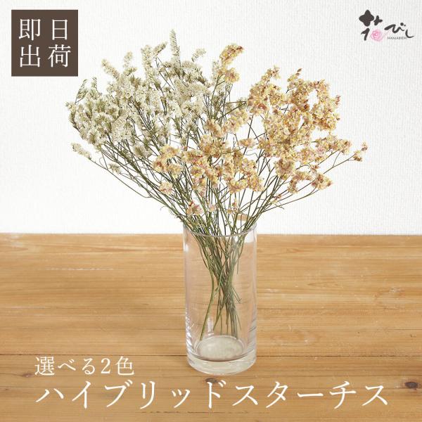 ドライフラワー 花材 即日出荷 ハイブリッドスターチス スワッグ