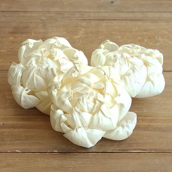 【商品仕様】直径 約10cm3輪入( allp5 )タイの水田に自生する植物”ソラ”を加工し、現地の職人さんの手によって一つ一つ丁寧に作り出されたエコフラワーです。daisenのブランド”solage(ソラージュ)”はフェアトレードによって...