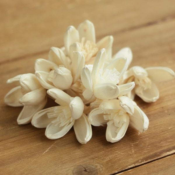 花材問屋BlossomオルディネSW ホワイト