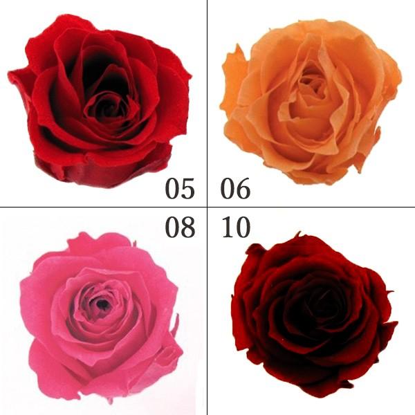 プリザーブドフラワー 花材 とりよせ品 ピッコラブロッサムローズ(1箱