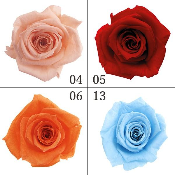 プリザーブドフラワー とりよせ品 Florever ベイビーローズ 1箱12輪入り ローズ ハーバリウム プリザーブドローズ プリ バラ Flr Fl050 Pv1 造花ドライフラワー専門問屋花びし 通販 Yahoo ショッピング