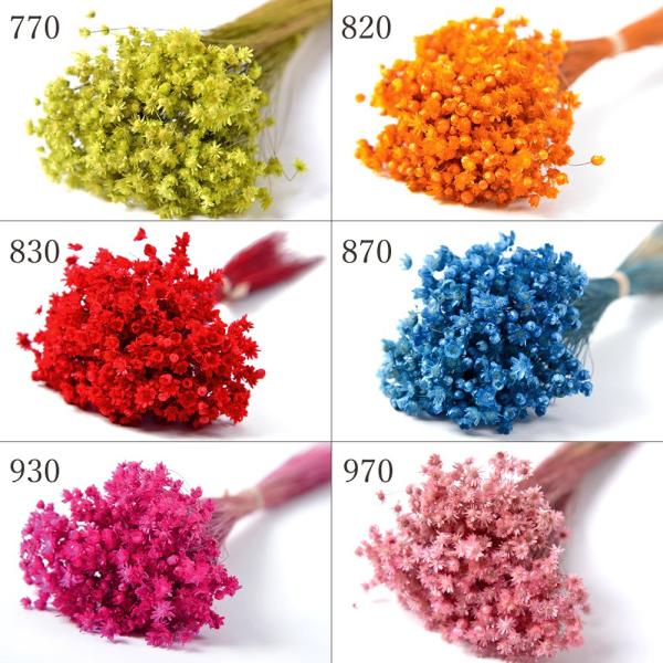 【商品仕様】1束(約15g入り)全長約30cm【お伝えしたいこと】　※花のサイズに個体差があったり、一部に折れている花や、取れている花が含まれる場合がございます。※花の開き具合には個体差があり、つぼみ状のものや開ききったものなど様々混在しま...