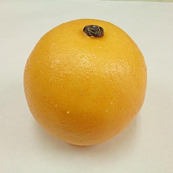 フェイクフルーツ とりよせ品 花びし グレープフルーツ イエロー Hnb F3506 造花ドライフラワー専門問屋花びし 通販 Yahoo ショッピング