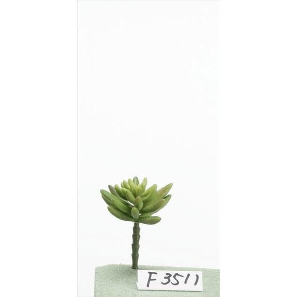  O[ A Ƃ悹i Z_ tFCNO[ [t CeA A 썑 gsJ GAvc TbJe T{e t