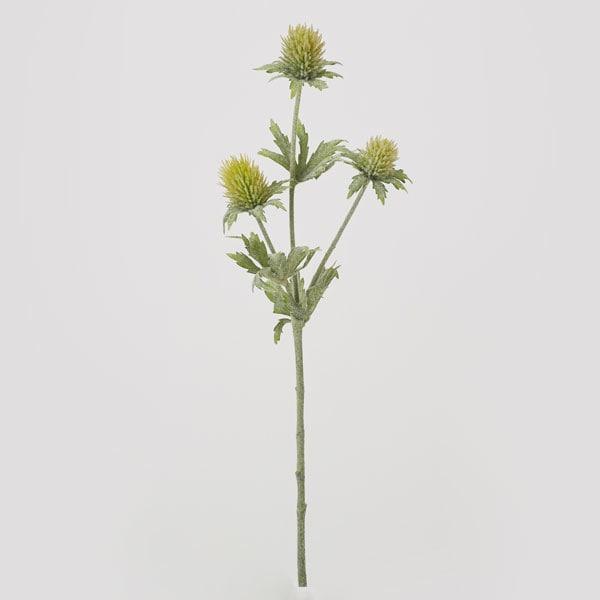 yP5{ 12/02 09:59z  Ƃ悹i GWE GWE A[eBtBVt[  CeA CeAt[ VNt[