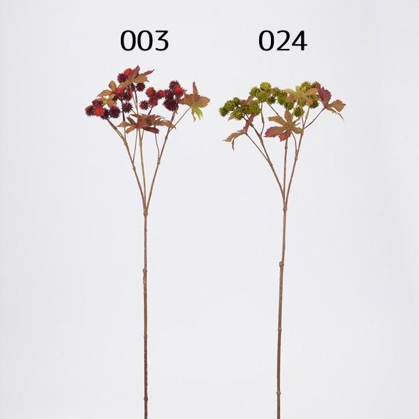 yP5{ 12/02 09:59z  O[  Ƃ悹i q} CeA tFCN O[ p[c AWg CeAt[ tFCNt[