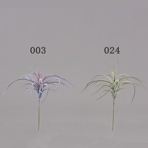  O[ A Ƃ悹i eBWA tFCNO[ [t CeA A 썑 gsJ GAvc TbJe p[c