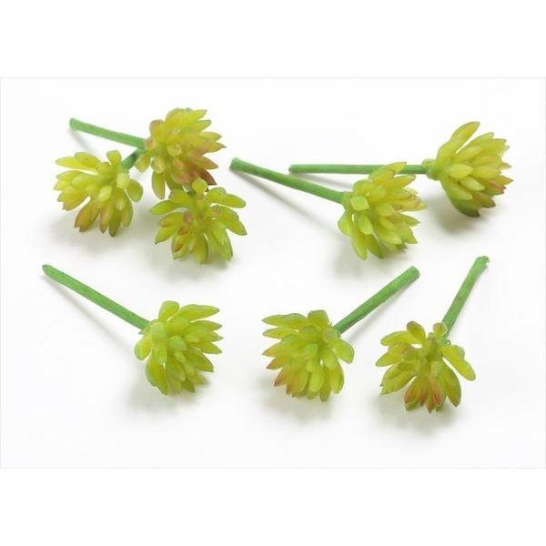 造花 グリーン 多肉植物 とりよせ品 花びし ミニアエオニウムピック 1袋8本入り グリーン Hnb Fd4016 造花ドライフラワー専門問屋 花びし 通販 Yahoo ショッピング
