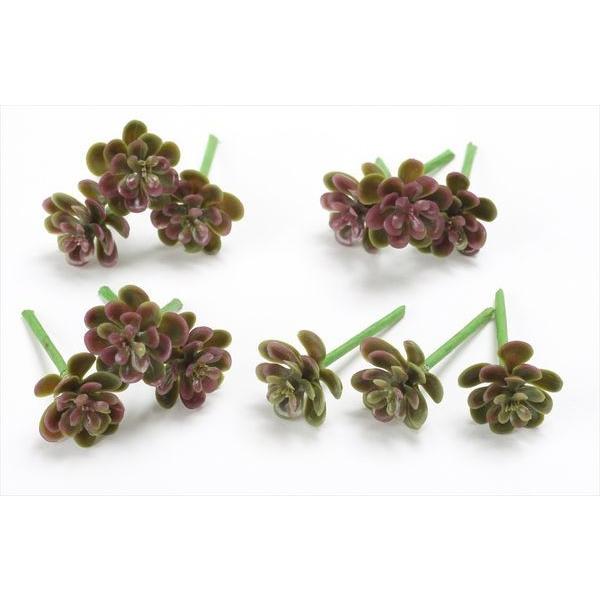  O[ A Ƃ悹i ~jZ_sbN(12{/) tFCNO[ [t CeA A 썑 gsJ GAvc T{e