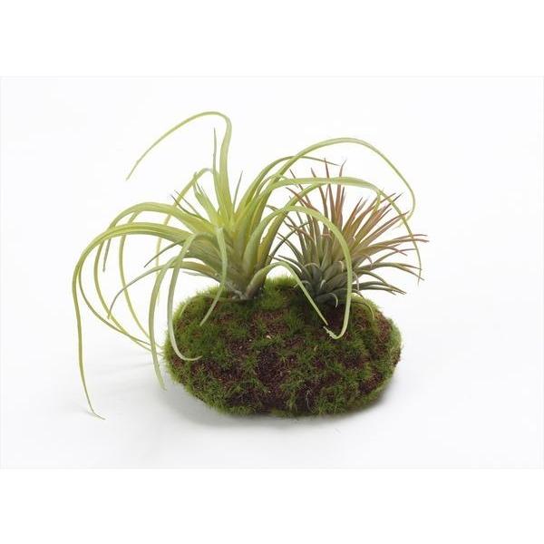 y|Cg5{ 11/03 09:59z  O[ A Ƃ悹i eBWAXAW tFCNO[ [t CeA A 썑 t