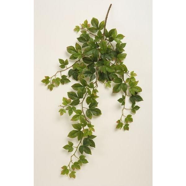 造花 グリーン とりよせ品 花びし シサスアイビーバイン グリーン シュガーバイン インテリア フェイク グリーン パーツ フェイクフラワー Hnb Fd4049 造花ドライフラワー専門問屋花びし 通販 Yahoo ショッピング