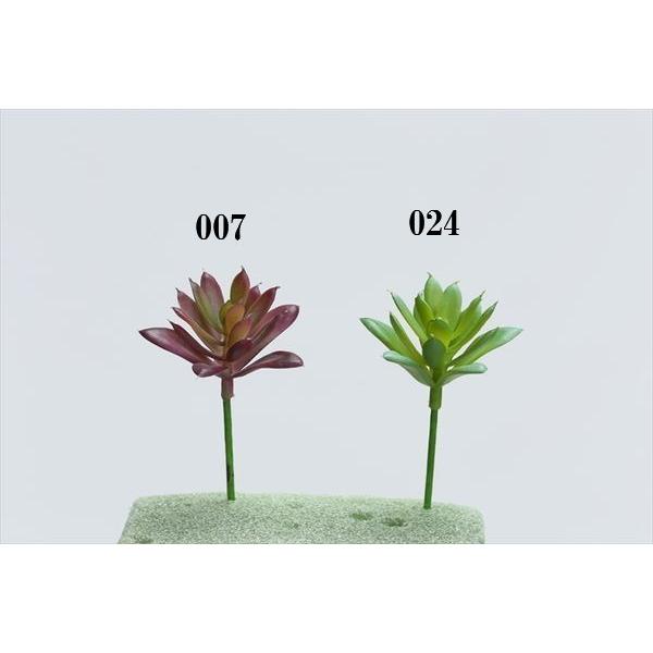 造花 グリーン 多肉植物 とりよせ品 花びし スターアエオニウム Hnb Fd42 造花ドライフラワー専門問屋花びし 通販 Yahoo ショッピング