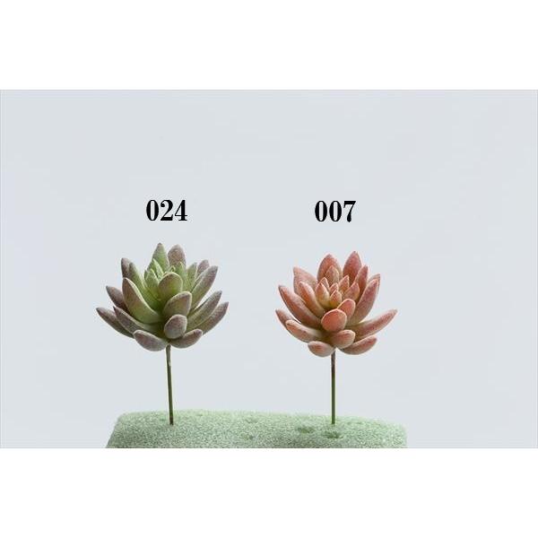 造花 グリーン 多肉植物 花びし ハナビシ アエオニウム Hnb Fd4291 造花ドライフラワー専門問屋花びし 通販 Yahoo ショッピング