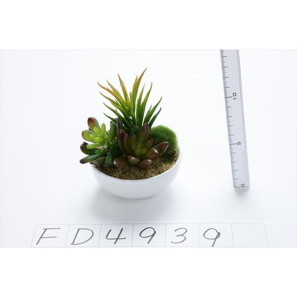  O[ A Ƃ悹i ~jTbJ|bg() tFCNO[ [t CeA A 썑 gsJ GAvc T{e