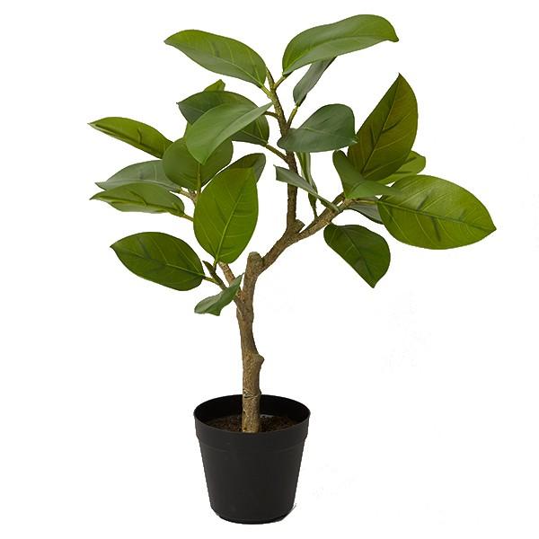 フェイクグリーン 観葉植物 とりよせ品 花びし フィカスソフィアポット グリーン 人工観葉 インテリア インテリアフラワー フェイクフラワー Hnb P44 造花ドライフラワー専門問屋花びし 通販 Yahoo ショッピング