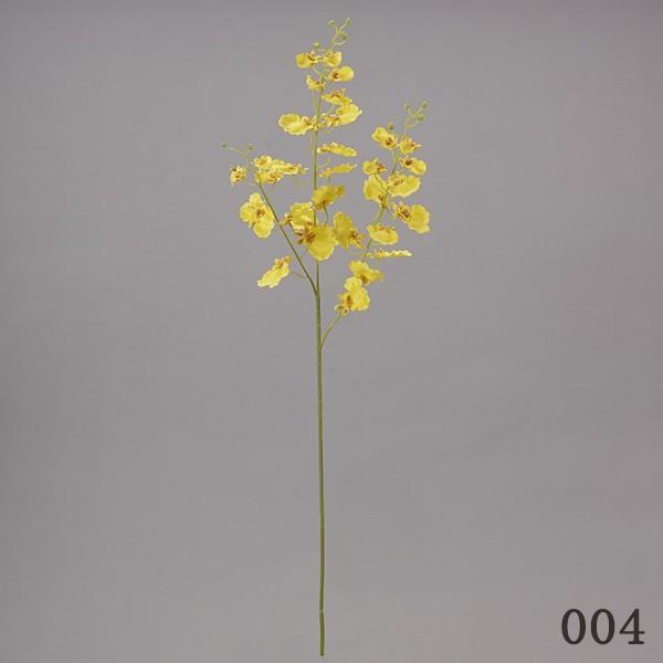 yP5{ 12/02 09:59z  Ƃ悹i _VOI[Lbh I[Lbh  A[eBtBVt[  CeA CeAt[ ԍ