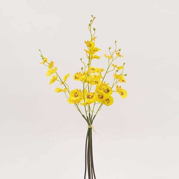 yP5{ 12/02 09:59z  Ƃ悹i _VOI[Lbhoh I[Lbh  A[eBtBVt[  CeA VNt[