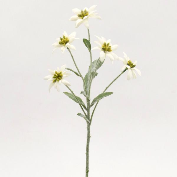 【商品仕様】(素材)花径6~7cm全長39cm(ポリエステル・ポリエチレン)( allp5 ) エーデルワイス アーティフィシャルフラワー 造花 インテリア インテリアフラワー フェイクフラワー シルクフラワー インテリアグリーン フェイク...
