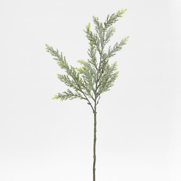 NX}X  O[ Ƃ悹i tbNpCXv[ [t z[[ t  I[ig NX}X NX}X[X CeA G