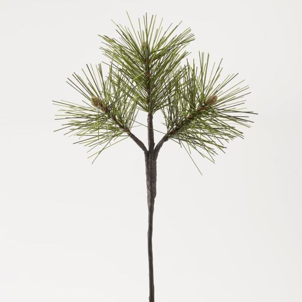 yP5{ 12/02 09:59z  O[ Ƃ悹i sbN×3 a  pC CeA tFCN O[ p[c CeAt[ VNt[