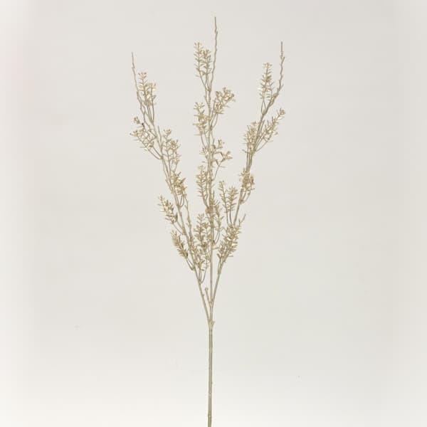 NX}X  O[ Ƃ悹i v`i{bNXEbh[t [t z[[ t  I[ig NX}X NX}X[X G ޗ