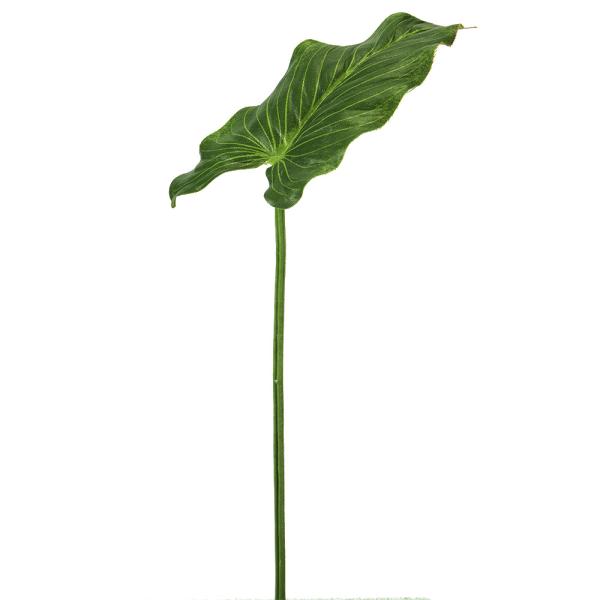 造花 グリーン 》◇とりよせ品◇花びし アンスリウムリーフ グリーン インテリア フェイク グリーン パーツ インテリアフラワー シルクフラワー :hnb-v23033:造花ドライフラワー専門問屋花びし 通販 アンスリウム フェイクグリーン インテリア 人工 観葉植物 造花 ブーケ