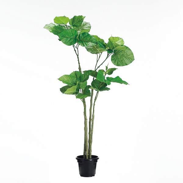 yP5{ 12/02 09:59z tFCNO[ ϗtA y[J[iz Ex[^|bg 117cmssEiƂ̓st ϗtA ϗt