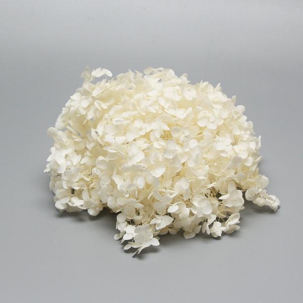 【商品仕様】1箱約15g箱サイズ:幅16.5×高さ7×奥行10cm【お伝えしたいこと】生花に柔らかい質感を保つよう特殊加工を施したものです。プリザーブドフラワーは染料の漏れが起こる場合があります。ご使用時も色移りにご注意ください。自然素材の...