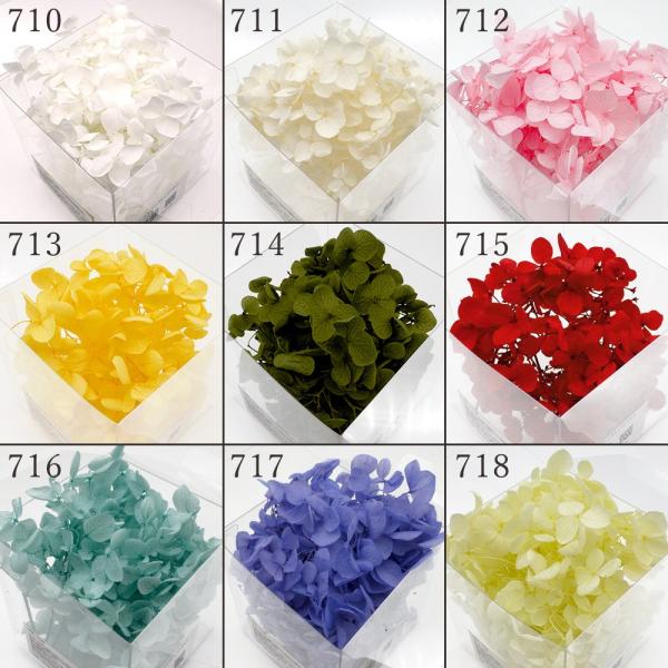 【商品仕様】 約4g入りクリアボックスのサイズ：7.5cm角( allp5 )材料ロス削減のため、通常パッケージ封入時に出る小房を中心にしたお得な小分けアジサイです。レジン封入やハーバリウム、アロマワックスサシェ,髪飾りやアクセサリーのパー...