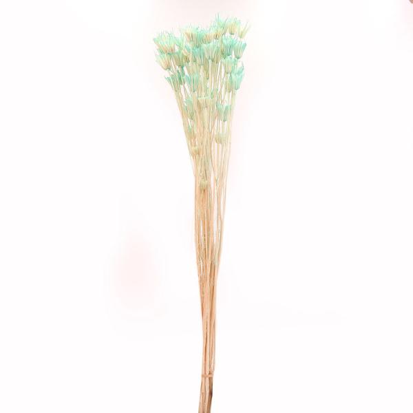 y|Cg5{ 11/03 09:59z hCt[ ԍ o QIG^X Cgu[  XbO u[P hCt[ԑ [X ԍ