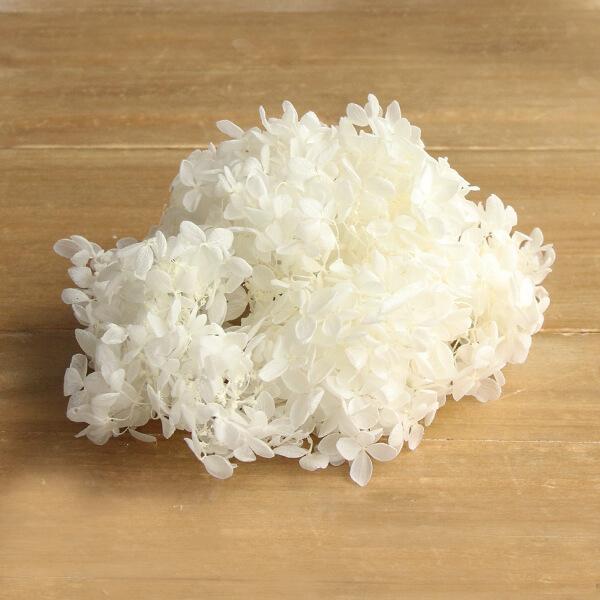 【商品仕様】1箱約15g箱サイズ:幅16.5×高さ7×奥行10cm【お伝えしたいこと】生花に柔らかい質感を保つよう特殊加工を施したものです。プリザーブドフラワーは染料の漏れが起こる場合があります。ご使用時も色移りにご注意ください。自然素材の...