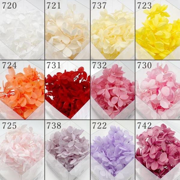 【商品仕様】 約4g入りクリアボックスのサイズ：7.5cm角( allp5 )材料ロス削減のため、通常パッケージ封入時に出る小房を中心にしたお得な小分けアジサイです。レジン封入やハーバリウム、アロマワックスサシェ,髪飾りやアクセサリーのパー...