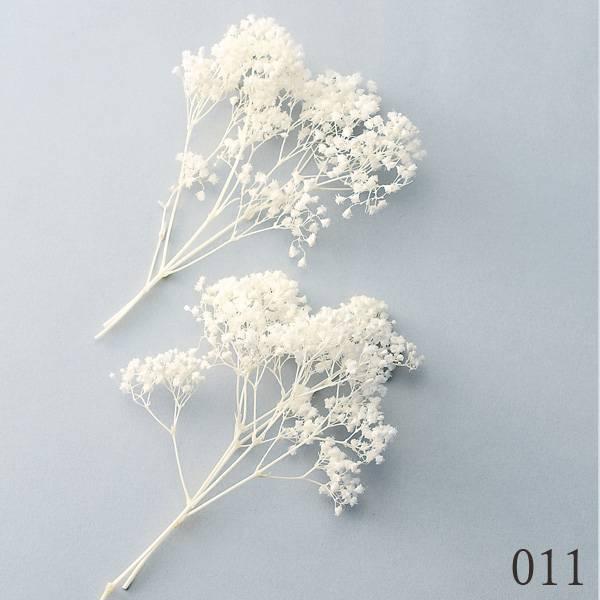プリザーブドフラワー 花材 とりよせ品 大地農園 カスミ草 ミリオンスター 白 ハーバリウム プリザーブドローズ プリ プリザーブド ナチュラル Och 造花ドライフラワー専門問屋花びし 通販 Yahoo ショッピング