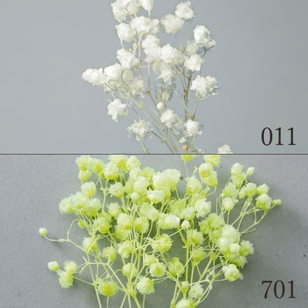 プリザーブドフラワー 花材 とりよせ品 大地農園 カスミ草 オーバータイム ハーバリウム プリザーブドローズ プリ プリザーブド ブリザーブド Och 造花ドライフラワー専門問屋花びし 通販 Yahoo ショッピング